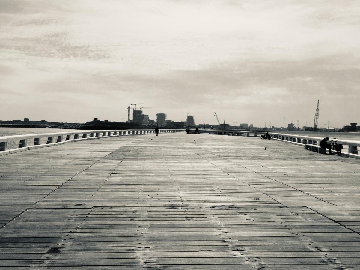 Rustig Met Zeezicht Dicht Bij Het Centrum Ostend